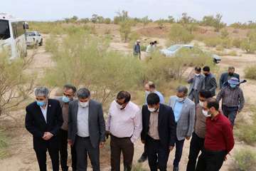 بازدید میدانی رئیس دانشگاه علوم پزشکی استان سمنان از طرح مبارزه با مخزن سالک و کلینیک تخصصی99.05.05 